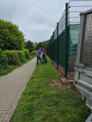 Foto des Albums: Arbeitsdienste 2024