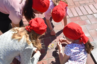 Foto des Albums: Pfingstausfahrt der Jugend