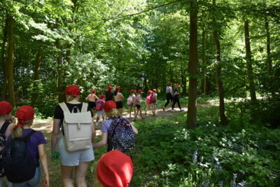 Foto des Albums: Pfingstausfahrt der Jugend