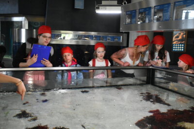 Foto des Albums: Pfingstausfahrt der Jugend