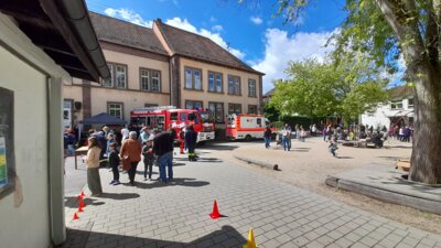 Foto des Albums: Schulfest 15.06.2024