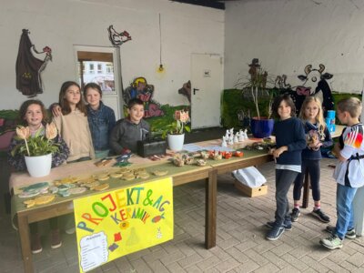 Foto des Albums: Schulfest 15.06.2024