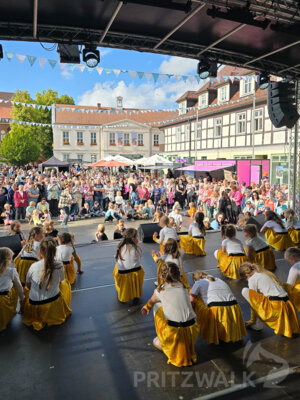 Foto des Albums: Pritzwalker Festtage 2024 - der Samstag