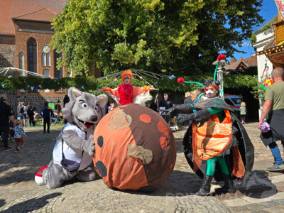 Foto des Albums: Pritzwalker Festtage 2024 - der Samstag