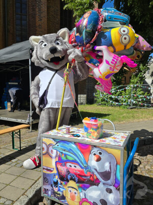 Foto des Albums: Pritzwalker Festtage 2024 - der Samstag