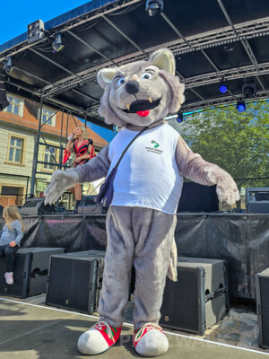 Foto des Albums: Pritzwalker Festtage 2024 - der Samstag