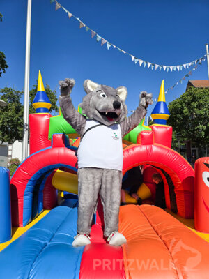 Foto des Albums: Pritzwalker Festtage 2024 - der Samstag