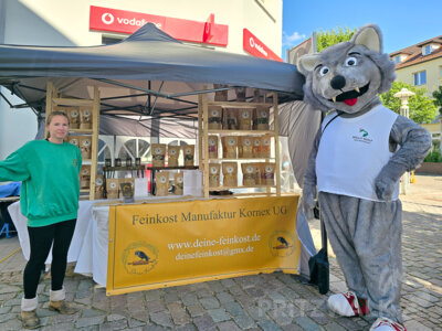 Foto des Albums: Pritzwalker Festtage 2024 - der Samstag