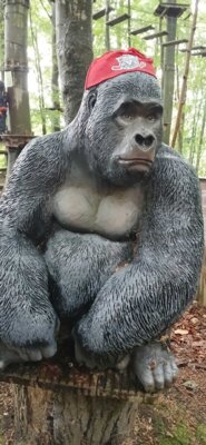 Foto des Albums: Borgwedel 2024