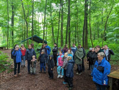 Foto des Albums: Borgwedel 2024