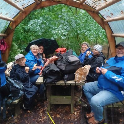 Foto des Albums: Borgwedel 2024