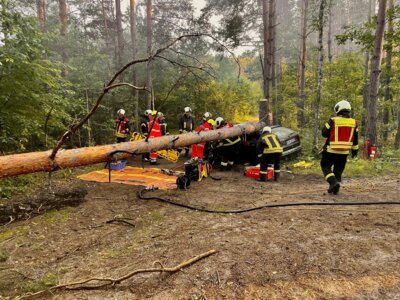 Foto des Albums: Übung Wald VKU (13. 06. 2024)