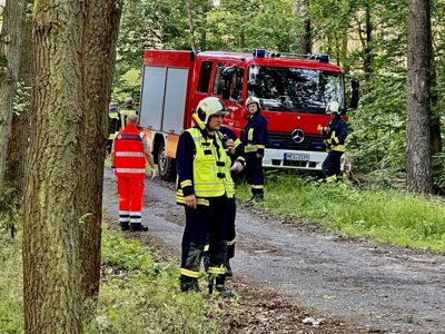 Foto des Albums: Übung Wald VKU (13. 06. 2024)