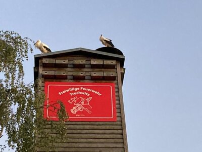 Vorschaubild: Feuerwehr Trechwitz 3