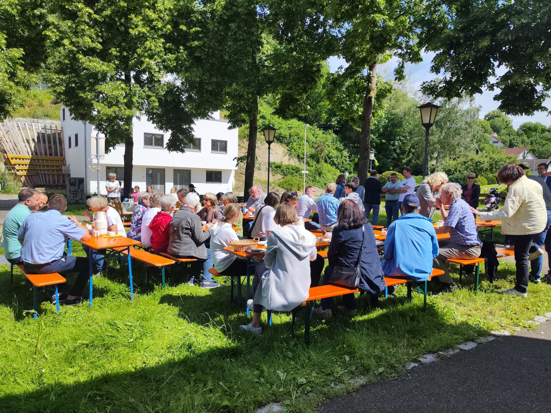 Bild der Galerie