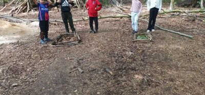 Foto des Albums: RUZ Naturerfahrungen KLasse 2a 2024