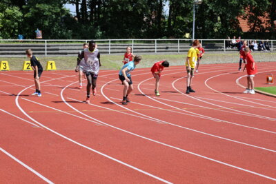 Foto des Albums: Regionalfinale Leichtathletik In Wittenberge