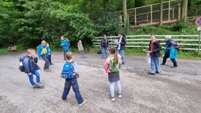 20240615 112525  (Bild vergr&ouml;&szlig;ern)
