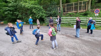 20240615 112527  (Bild vergr&ouml;&szlig;ern)