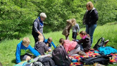 20240615 140516  (Bild vergr&ouml;&szlig;ern)