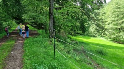 20240615 142118  (Bild vergr&ouml;&szlig;ern)