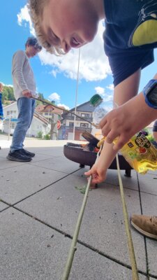 20240615 155601  (Bild vergr&ouml;&szlig;ern)