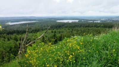 Blick vom Kahleberg auf Galgenteiche 1  (Bild vergr&ouml;&szlig;ern)