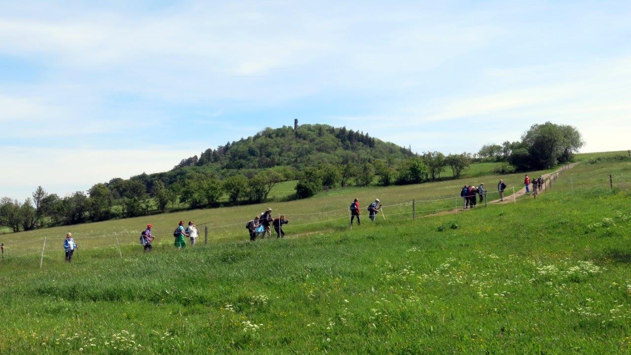 Bild: Anstieg zum Geisingberg