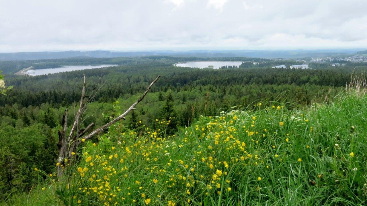 Bild: Blick vom Kahleberg auf Galgenteiche