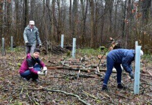 Foto des Albums: Schlossparkpflege Feb. 2024