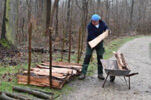 Foto des Albums: Schlossparkpflege Feb. 2024