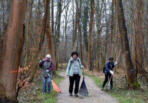 Foto des Albums: Schlossparkpflege Feb. 2024