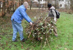 Foto des Albums: Schlossparkpflege Feb. 2024