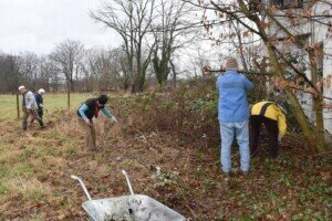 Foto des Albums: Schlossparkpflege Feb. 2024