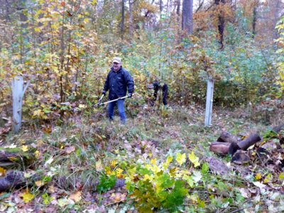 Parkpflege  (Bild vergr&ouml;&szlig;ern)