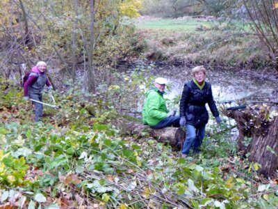 Parkpflege  (Bild vergr&ouml;&szlig;ern)