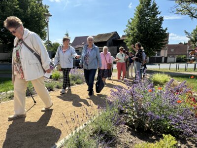 Foto des Albums: Auftakt zur Seniorenwoche (18.06.2024)