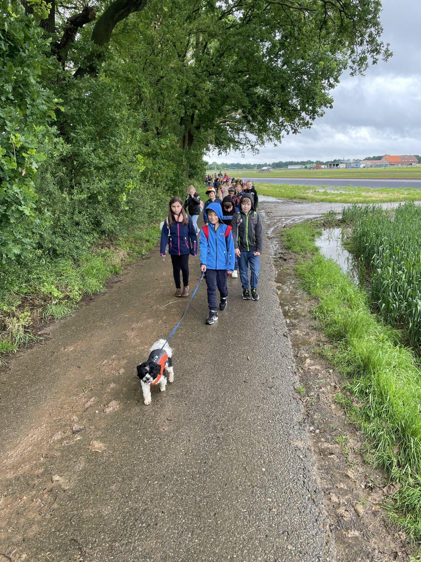 Bild: Wanderung mit Schulhund Eddi