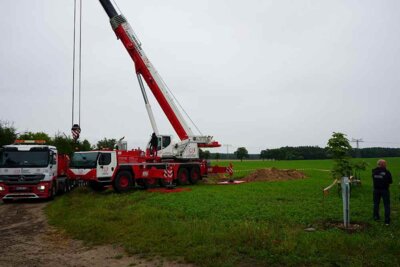 Vorschaubild: 20240619 Krahne roter Stein (18)