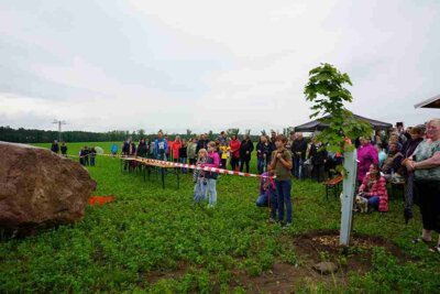 Vorschaubild: 20240619 Krahne roter Stein (9)