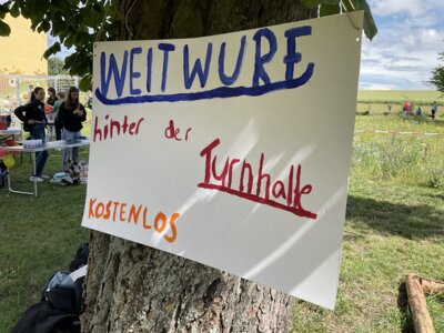 Foto des Albums: Schulfest 2024