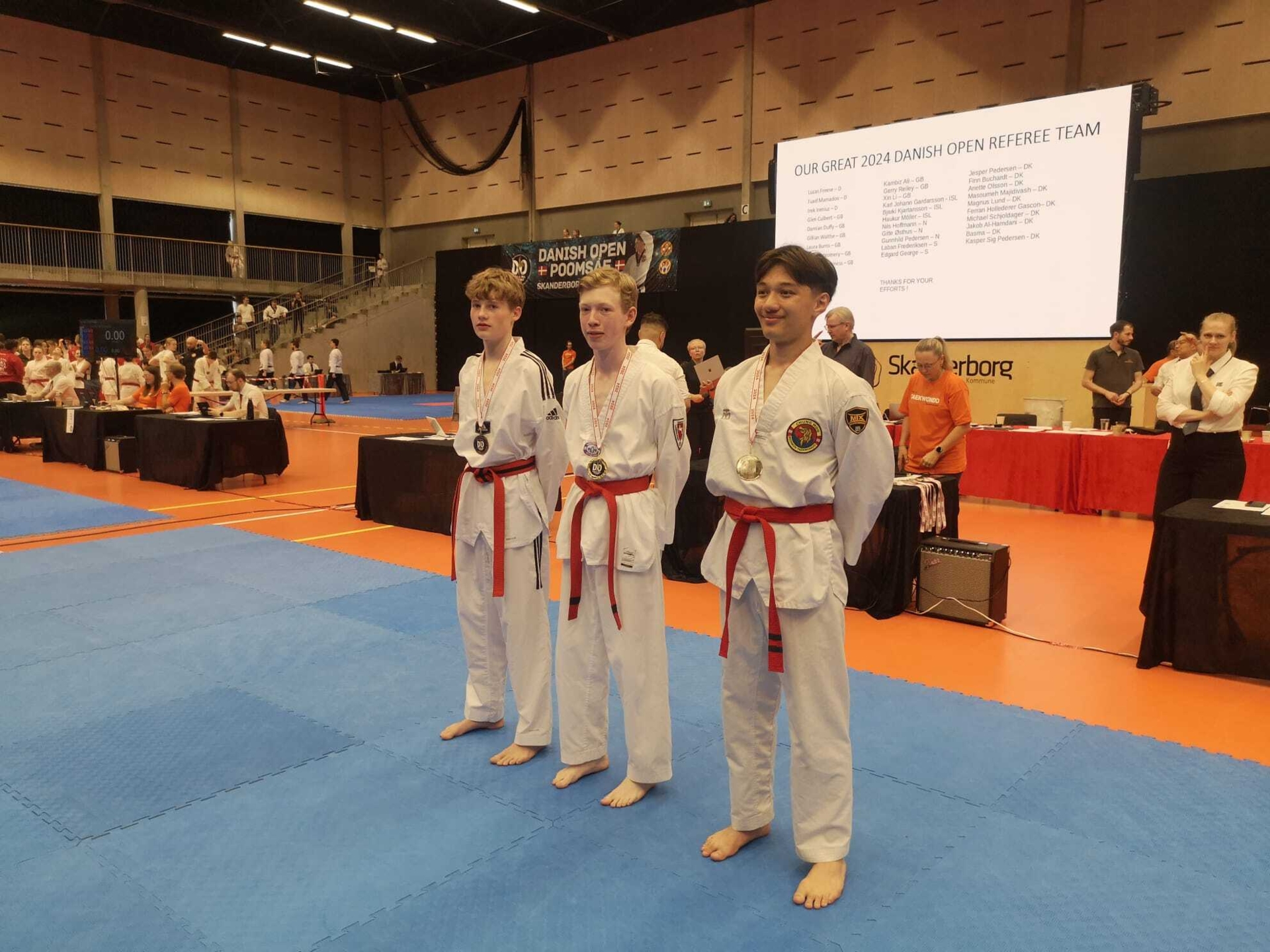 Bild: 09-JUNIOR MALE GOLD BRONZE