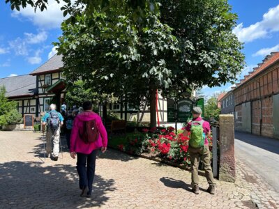 Das Hofcaf&eacute;  (Bild vergr&ouml;&szlig;ern)