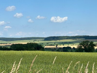 Heberb&ouml;rde  (Bild vergr&ouml;&szlig;ern)