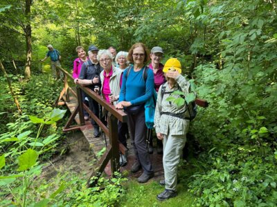 Br&uuml;cke &uuml;ber den Bach F&auml;llerwasser  (Bild vergr&ouml;&szlig;ern)