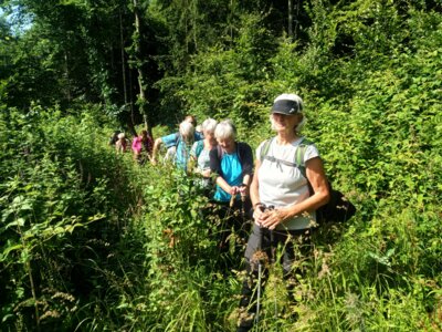 Brennessel- und Brombeerpfad  (Bild vergr&ouml;&szlig;ern)