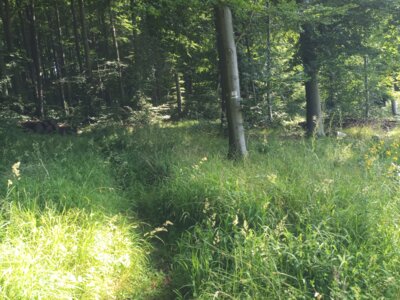 An Borberg  (Bild vergr&ouml;&szlig;ern)