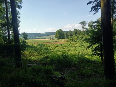 Das Harzervorland  (Bild vergr&ouml;&szlig;ern)
