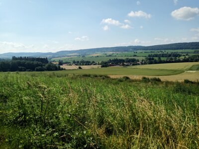 Blick ins Harzervorland  (Bild vergr&ouml;&szlig;ern)