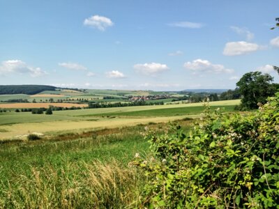 Blick zur&uuml;ck nach Bad Gandersheim  (Bild vergr&ouml;&szlig;ern)